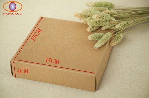 Thiết kế thùng carton theo yêu cầu kiểu hộp gửi thư